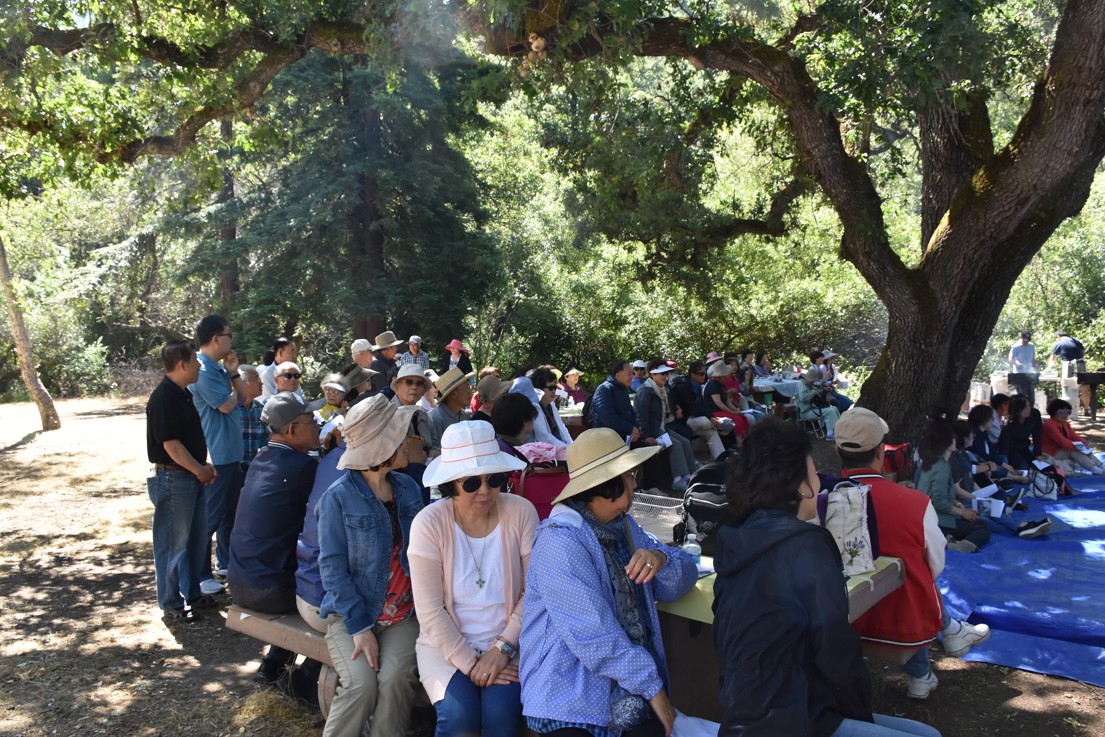 2019 서북미 한인 꼬미시움 야외미사 6.8 -산호세 (Aum Roch Park San Jose)