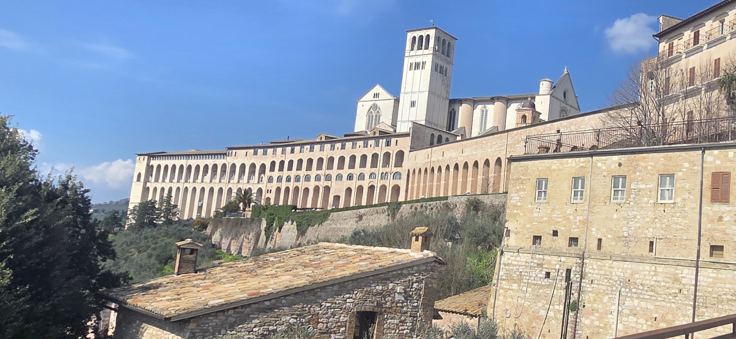 아씨씨 -황혜정 데레사